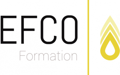 EFCO FORMATION