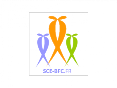 SOCIÉTÉ DES CONSULTANTS EXPERTS BOURGOGNE FRANCHE-COMTÉ